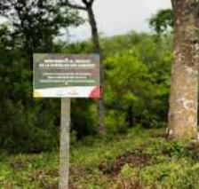Premio internacional a los Bosques de Poesía
